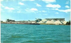 Cedarville Hafen Dolomit Kalkstein Pflanze Postkarte MI - Bild 1 von 2