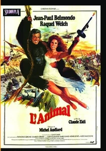 L'animal (DVD) Dany Saval Jean-Paul Belmondo Raquel Welch (US IMPORT) - Picture 1 of 2