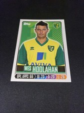 234 Wes Hoolahan Norwich City Topps Premier League 2014 RARE Brazil ed sticker