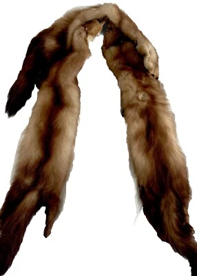 "Bufanda envolvente de piel de visón entero vintage de piel con cabezas colas pies 50""" Foto 1 de 3