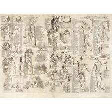 Chambers 1728 Cyclopaedia Human Anatomy Diagram Canvas Wall Art Print Poster