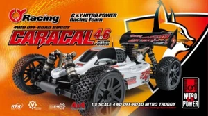 MING YANG Caracal nitro - 1/8 nitro buggy RTR 00805-001 - Picture 1 of 4