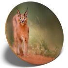 1 x Caracal African Lynx Cat - Round Coaster Kitchen Student Kids Gift #3170