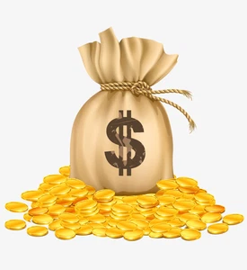 Payment Link - Picture 1 of 1