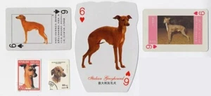 ITALIENISCHER WINDHUND VINTAGE HUND SAMMLERSTÜCK SPIELKARTEN BRIEFMARKEN & BÄNDER - Bild 1 von 1