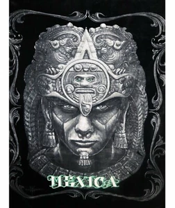 DGA Day of the Dead Aztec Warrior Calendar Thick Queen Size Throw Blanket Mexica - Picture 1 of 2