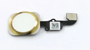 iPhone 6G Home Button Knopf GOLD + Flex Kabel Home Taste Finger Touch ID NEU - Bild 1 von 2