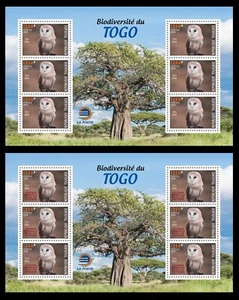 TOGO 2024 MS 6V - REG & OVPT - BARN OWL OWLS BIRDS BIRD - MNH - Picture 1 of 3