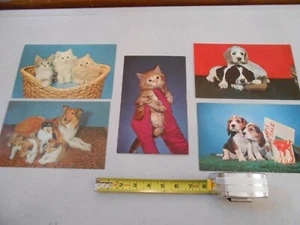 LOT / SET 5 VINTAGE LARGE POSTCARDS PHOTO DOGS / PUPPIES AND CATS / KITTENS CARD - Picture 1 of 8