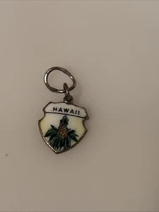 Vintage REU Esterlina/Esmalte Hawaii - Piña - Dije 23C - Imagen 1 de 3