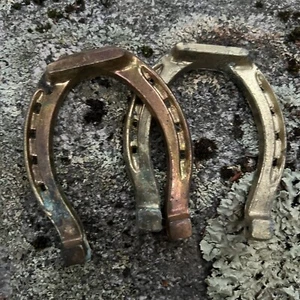 2 Vintage Curate Cast Aluminum Horse Shoes Arts And Crafts Repurpose Patina’d - Picture 1 of 8