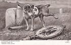 OLD POSTCARD WW1 MILITARY HUMOUR DOG RED CROSS PATRIOTIC AW 405