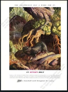 1948 Flussotter Haus unter Baum Kunst Stiefel Chemiker UK Vintage Druck Anzeige - Bild 1 von 7