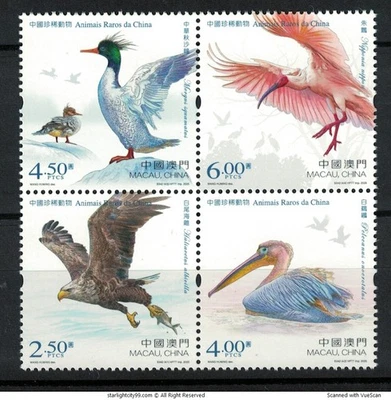 MACAO CHINA 2025 ANIMALES RAROS (AVES) EN CHINA BLOQUE COMP. JUEGO DE 4 SELLOS COMO NUEVOS Foto 1 de 4