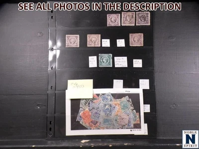 NobleSpirit (BHS) Valioso $450 CV Australia Estados Nueva Gales del Sur Página de Stock Foto 1 de 4