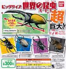Big Size Insects of the World Part 3 [Set of 7 types (Full Comp)] Gac... form JP