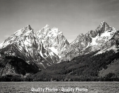 GOODS GALORE Grassy Valley Tree Covered Mountains 8.5x11" Photo Print Ansel Adams Grand Teton