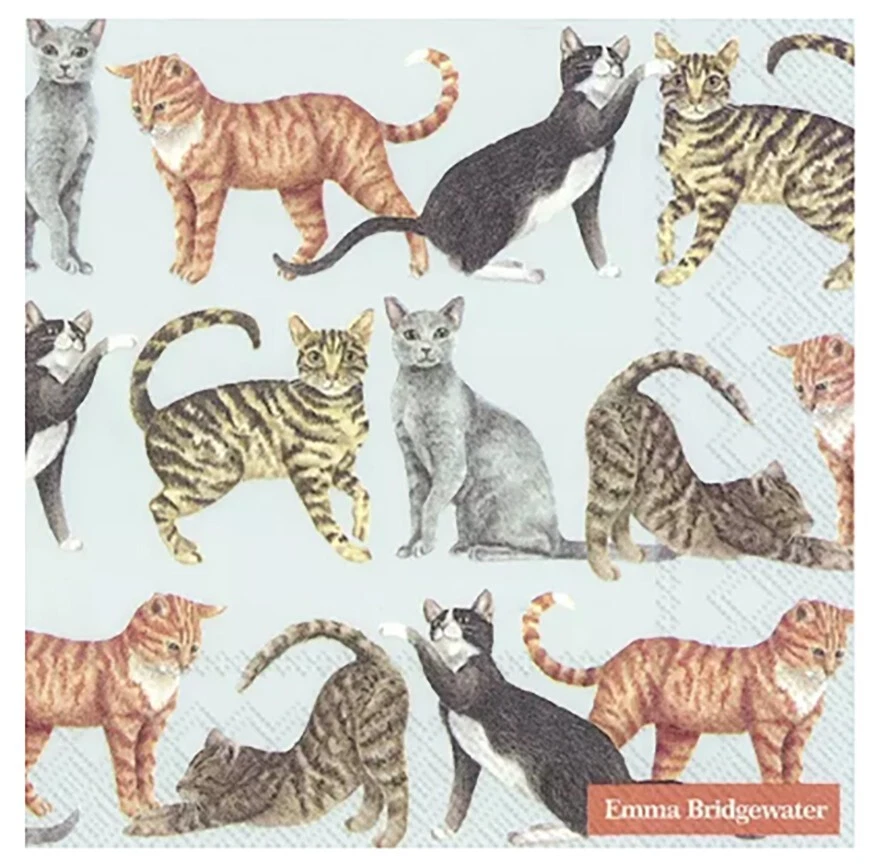 IHR 20 Servietten "Cats light blue" 33 cm Napkins Katzen Emma Bridgewater