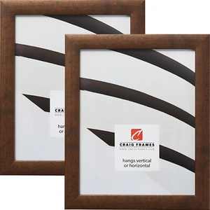 Craig Frames 1" Contemporary Rustic Copper Picture Frame, Set of Two - Picture 1 of 9