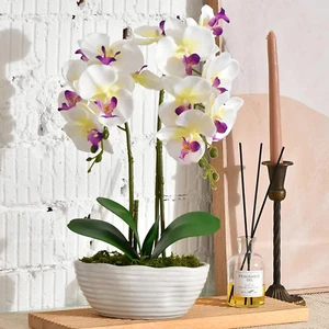 Large Artificial Potted Orchid Plant, Silk Flower Arrangement with Ceramics Vase - Picture 1 of 7