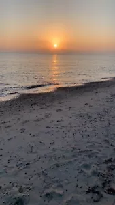 Ferienwohnung Fehmarn Ostsee - Bild 1 von 17