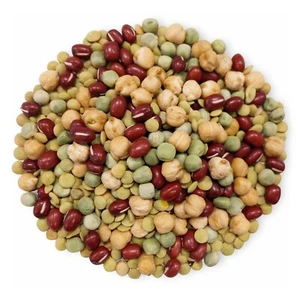 Organic Crunchy Mix of Sprouting Beans — Non-GMO, Kosher, Non-Irradiated, Vegan - Picture 1 of 35