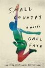 Small Country: A Novel By Faye, Ga?L