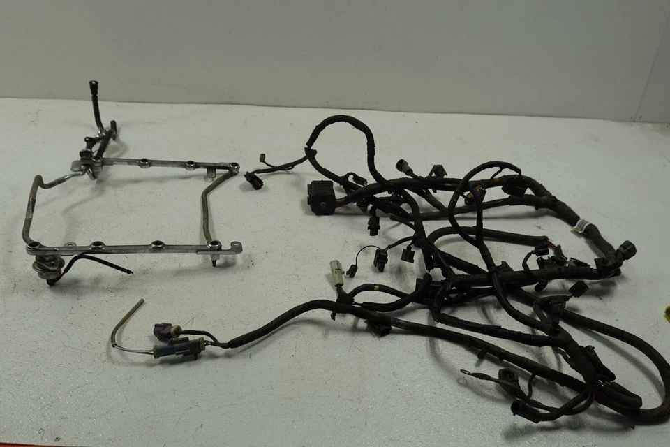 Arnés inyector Ford F-150 1996-1998 OEM con línea de suministro de riel de combustible | W3701 Foto 1 de 4