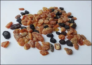Raw Multi-Color Genuine Baltic Amber Beads 20gr - Picture 1 of 3