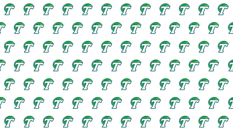 Tela con logotipo de la Universidad de Tulane por yarda Foto 1 de 1