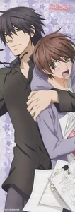 póster Sekai Ichi Hatsukoi Sekaiichi anime Yaoi BL Onodera Ritsu Takano Masamune - Imagen 1 de 2