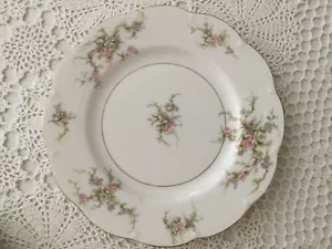 Theodore Haviland Rosalinde Pattern Dinner Plates - Picture 1 of 2