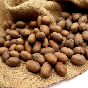 Whole Paper Shell Pecans by the pound - Picture 1 of 9