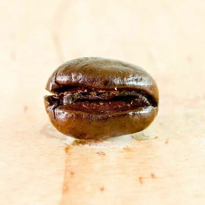 BRAZILIAN YELLOW BOURBON COFFEE BEANS PEABERRY MEDIUM ROASTED 2LBS IN 1 LBS BAGS - Image 1 of 4