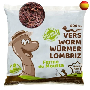 Lombrices | Lombriz de Tierra vivas Eisenia - Afbeelding 1 van 20