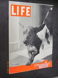 Life Magazine 1946 September 23 Dogs Are Cats Playmates Buy 4 Free S/H - Picture 1 of 2