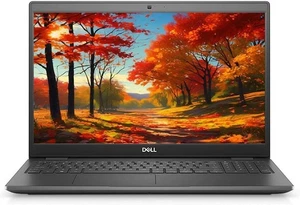 15.6" DELL Latitude Laptop: 10th Gen Intel Core i5! 16GB RAM! 256GB SSD! Win 11 - Picture 1 of 21