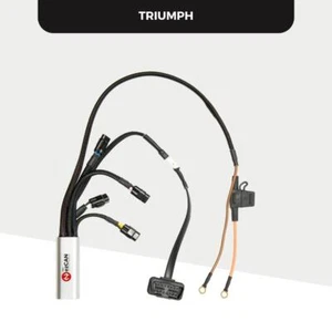 HEX ezCAN Controller Tagus for Triumph Tiger 1200 '22 - - Bild 1 von 2