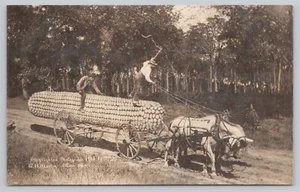 Exaggeration RPPC Postcard, Martin: Largest Ear Of Corn Grown, Mule, Wagon - Picture 1 of 2