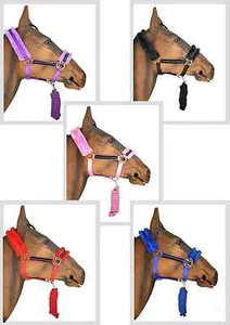 Horse Diamante Head Collar & Lead Rope Set Cob Pony - Picture 1 of 5