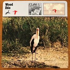 "WOOD IBIS", 1977 EDITIONS RECONTRE COLLECTIBLE 4 3/4" x 4 3/4" CARD