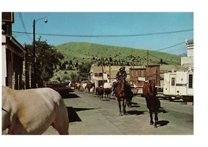 Cartolina Virginia City, MT ANNI 70 Cavaliere a cavallo Street View - Foto 1 di 2