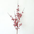 Decorative Acacia Red Bean Holly Fruit Stunning Addition To Your Home Decor