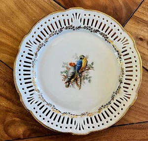 Vintage Schwarzenhammer Germany Macaw Birds Collector’s Porcelain Plate 7” - Picture 1 of 3