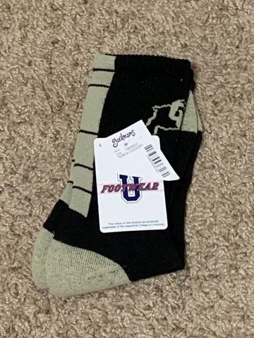 FootWear U Colorado Buffaloes Unisex Socks Cover