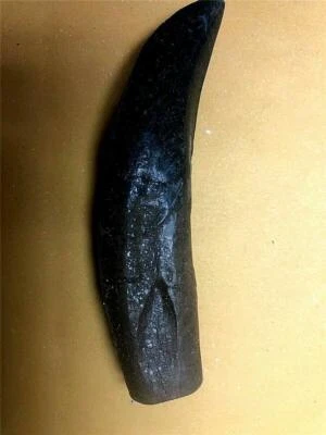  Allosaurus  tooth fossil replica  4" around curve brown with black enamel - Image 1 of 2
