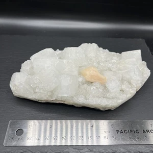 Piedra preciosa de cristal brillante racimo de apofilita de 2,3 libras - Imagen 1 de 8