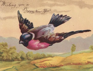 Tarjeta de felicitación victoriana Rafael Tuck Año Nuevo Bullfinch Bird Londres antiguo - Imagen 1 de 3