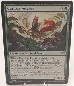 MTG - Bloomburrow - Curious Forager - #0169 - Playset x4 - Near Mint - Bild 1 von 6