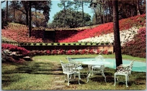 LONG GARDENS Mobile, Alabama AL Postcard - Picture 1 of 2